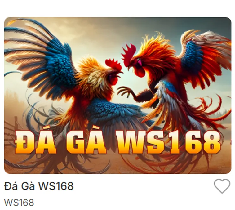 Trải Nghiệm Đỉnh Cao Đá Gà WS168 Tại Bin88 Với Tỷ Lệ Thắng Khủng